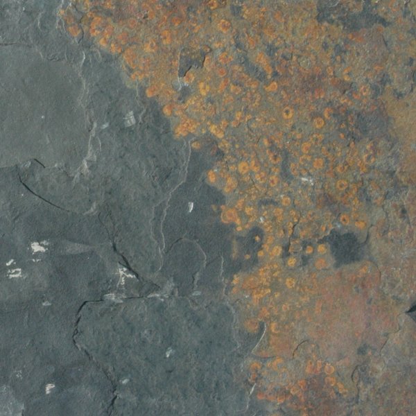 Msi California Gold SAMPLE Gauged Slate Floor And Wall Tile ZOR-NS-0003-SAM